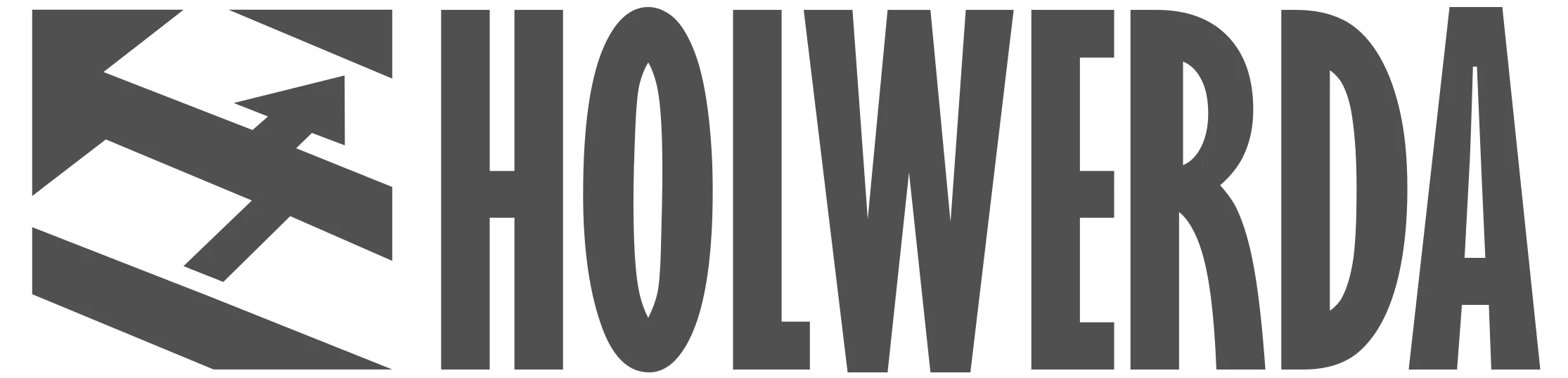 Holwerda Website Workshops Sins